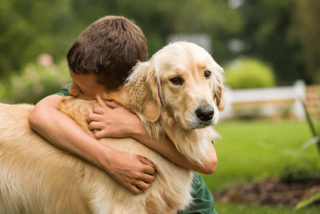 Feel-Good Dog Story